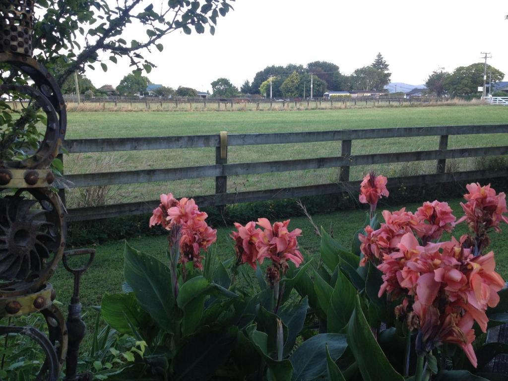 Blairgowrie House Bed and Breakfast Cambridge Buitenkant foto