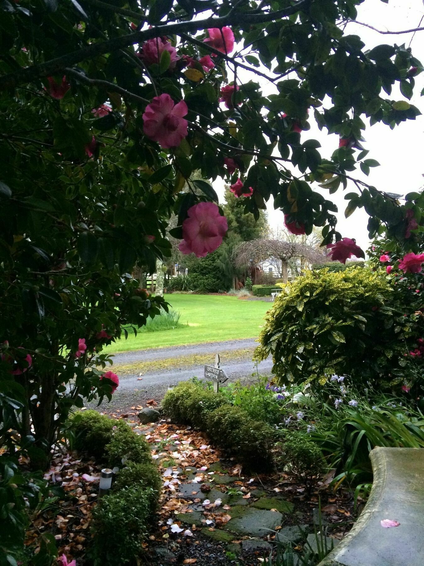 Blairgowrie House Bed and Breakfast Cambridge Buitenkant foto