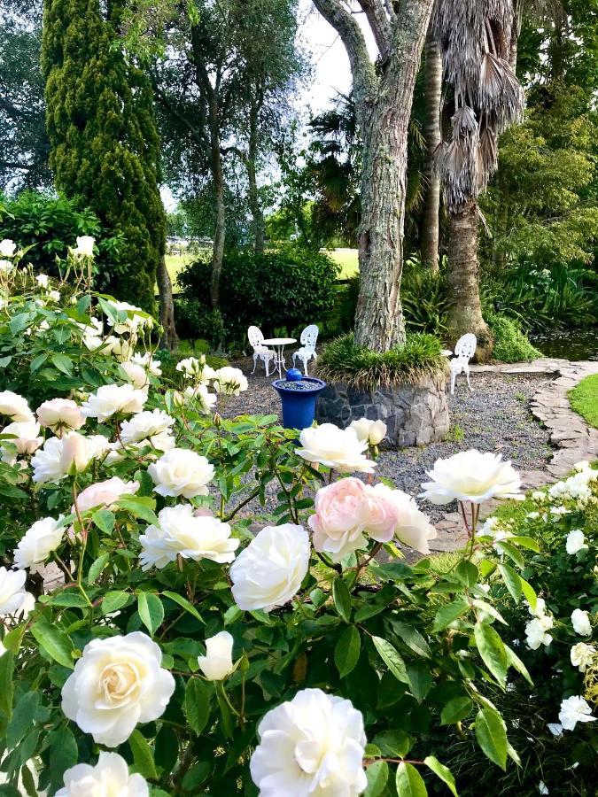 Blairgowrie House Bed and Breakfast Cambridge Buitenkant foto